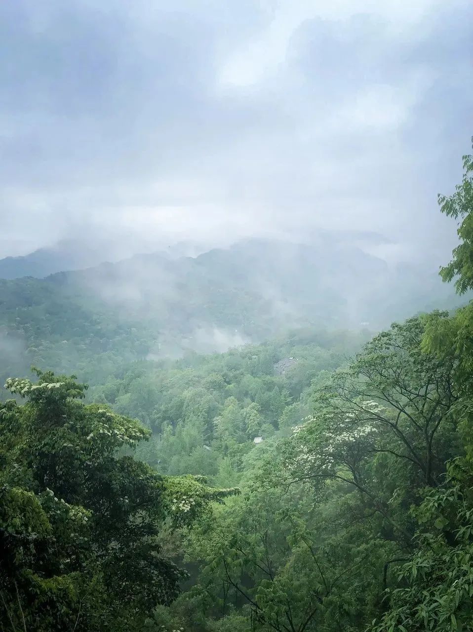 四川十大经典旅游景点，你去过几个