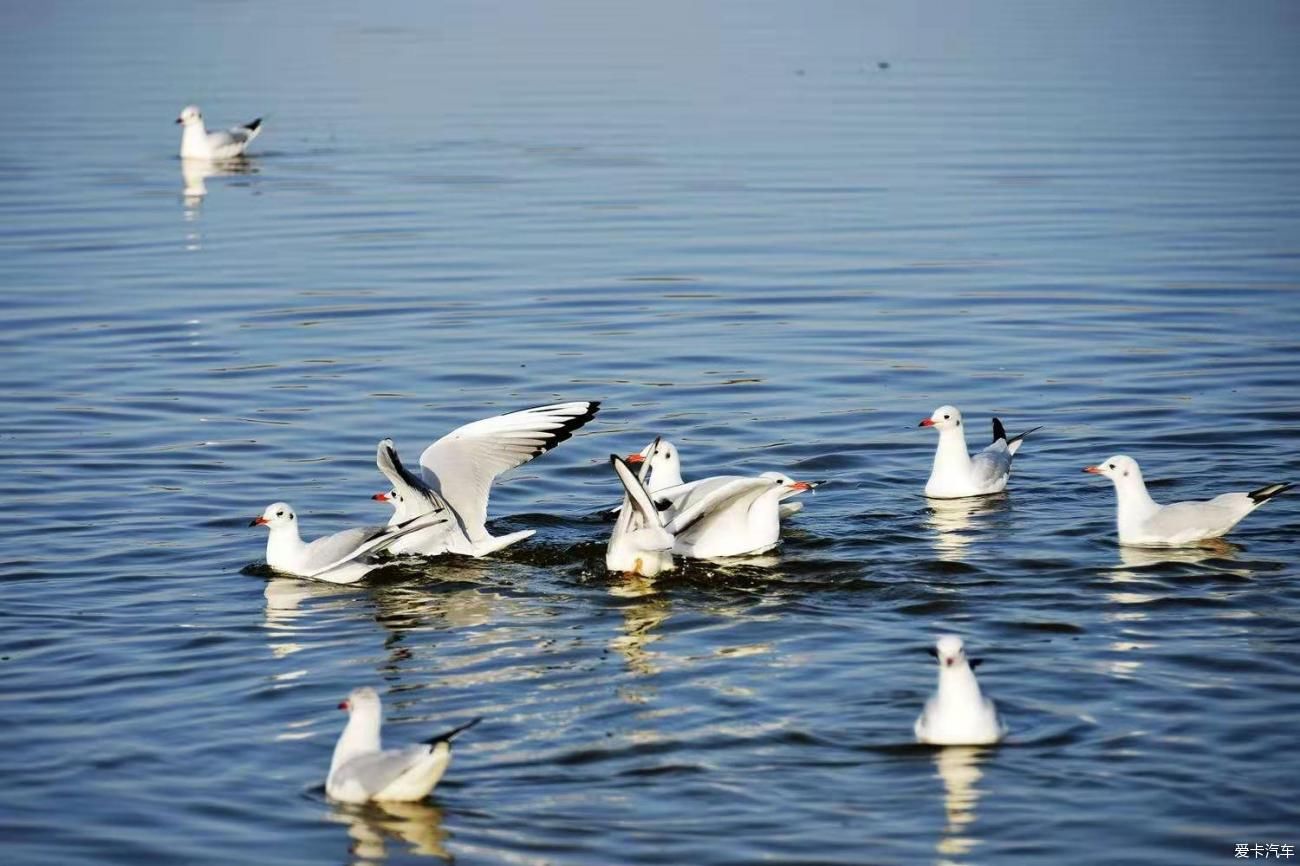 沙漠湖泊居延海