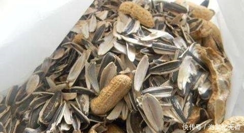 这3种“垃圾”别扔!丢进盆栽花繁叶茂,拿来养花不烂根不黄叶