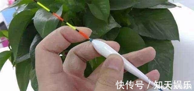 灵敏度|买浮漂不看漂尾的粗细，钱都白花了，鱼也钓不多