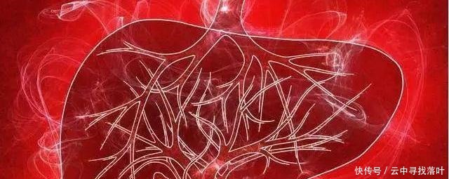 肝脏不好的人注意这3类食物别吃,特别是第1类,