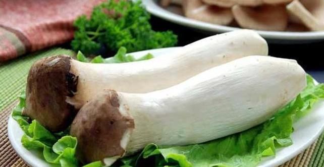 女性养生，3种食物换着吃，补水润肤，排毒抗衰，清理体内毒素