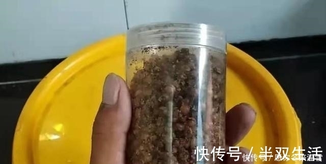 麦粒|用过最好的饵料，没有之一，饵料一入水就被鲫鲤鱼疯抢