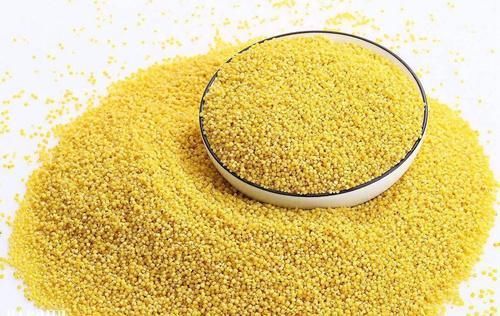 小米|小米和“它”一起煮,皱纹色斑淡了,隔天排出黑宿便,甩掉大肚腩