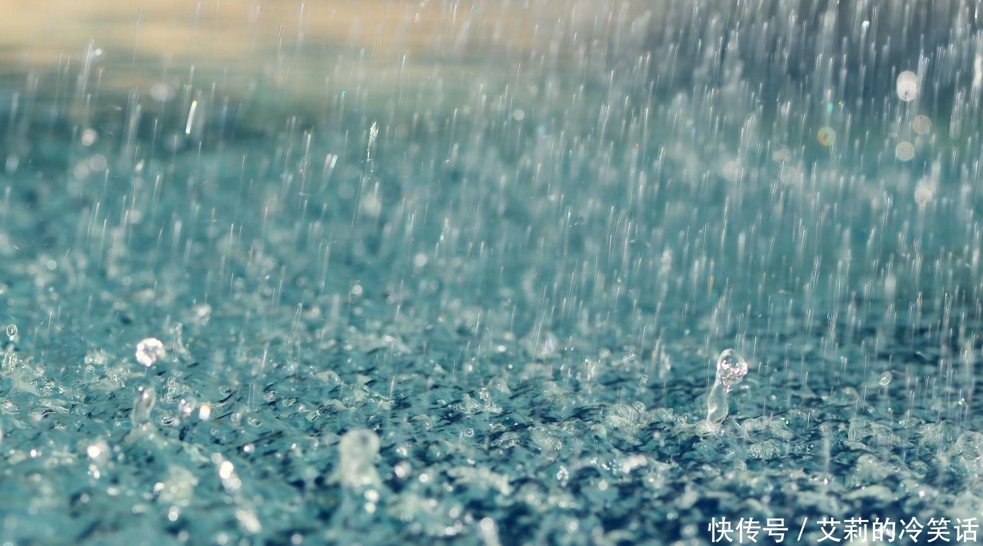 2.3亿年前,一场持续200多万年的雨,把恐龙送上霸主宝座