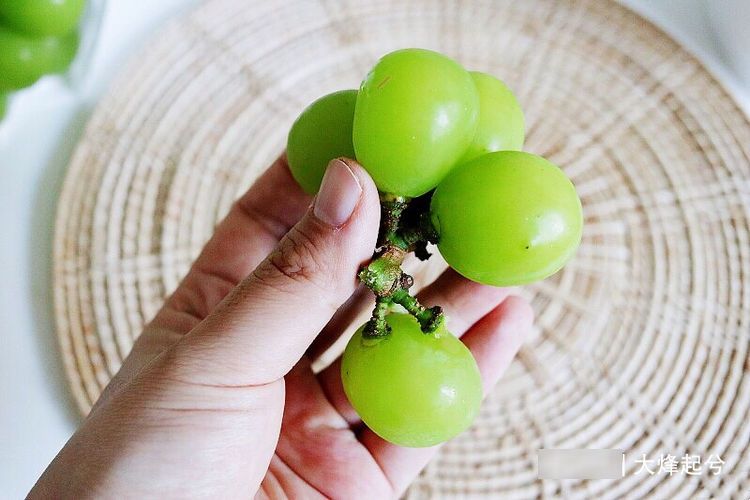 冬天葡萄的保存方法，放2，吃时还和新鲜的一样