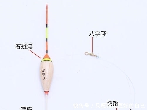 钓友|浮漂入水为啥会倾斜？老钓友不小心透露3点原因，现在知道还不晚