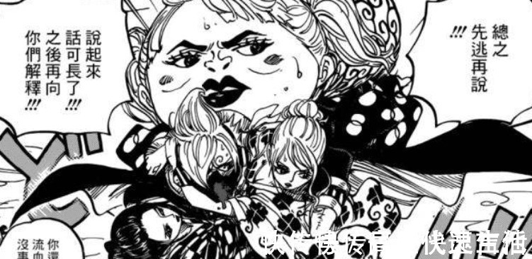 索隆|海贼王985话娜美身世存疑,她将会是四皇凯多的女儿吗
