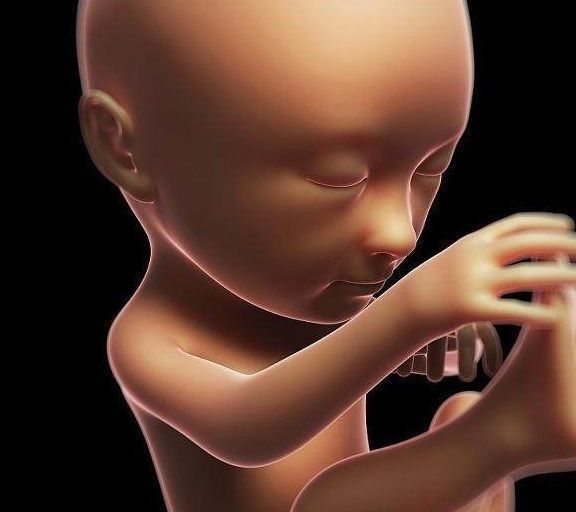 宝妈|男宝和女宝的胎动不一样,是真的吗?有经验的宝妈告诉你答案