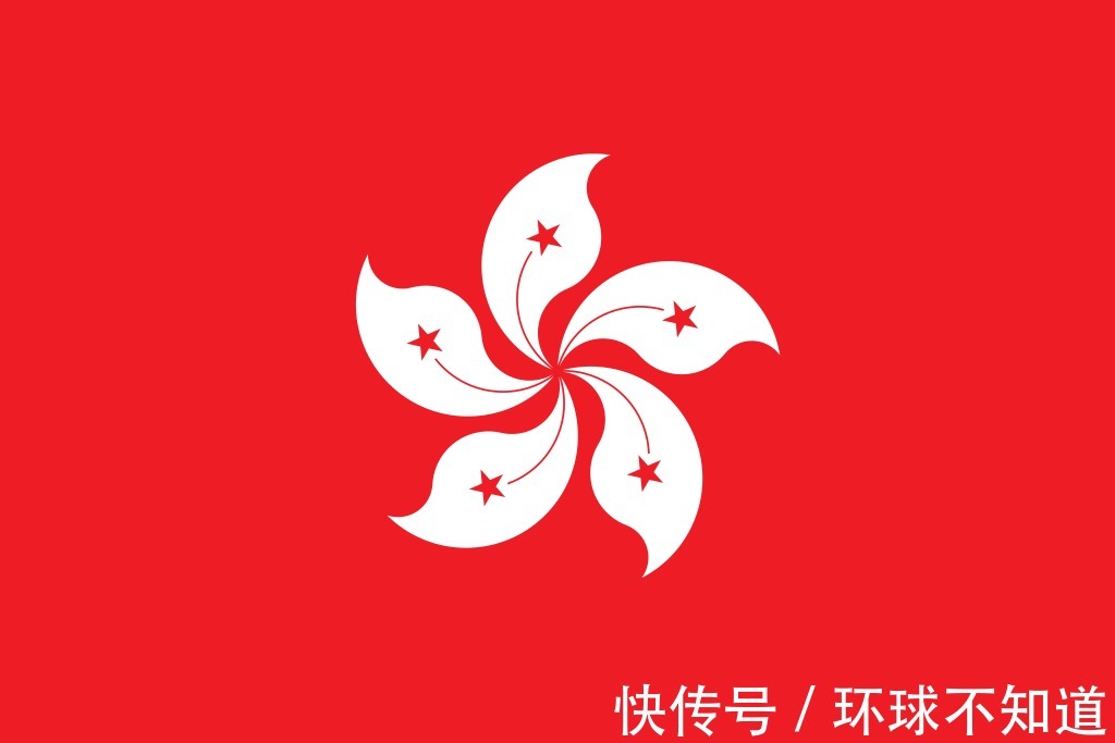 参赛|2020东京奥运会,中美总共派出了8支代表队