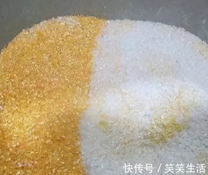 天冷钓鲤鱼，饵料就该这么整，鱼情好到不想走