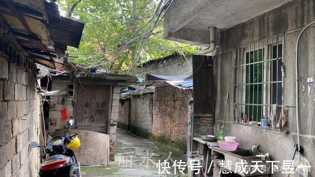 征收|丽水市区花园路上的这排老房子你注意到了吗居民们要迎来新生活