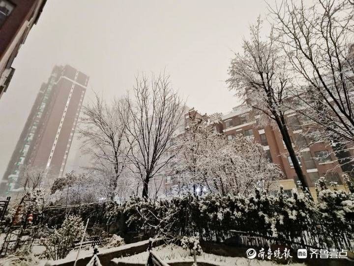 邢台|雪！雪！雪！聊城雪景大片来了，美翻天……