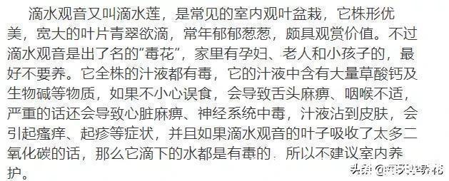 这六种花都是“毒花”,家里有老人、小孩、孕妇的,千万要慎养!