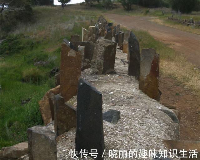 塔斯&丈夫被制成标本展览,她留下遗愿请善待我,不要展览我!