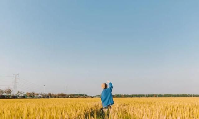 徐公&脾气要稳,定位要准,自律要狠