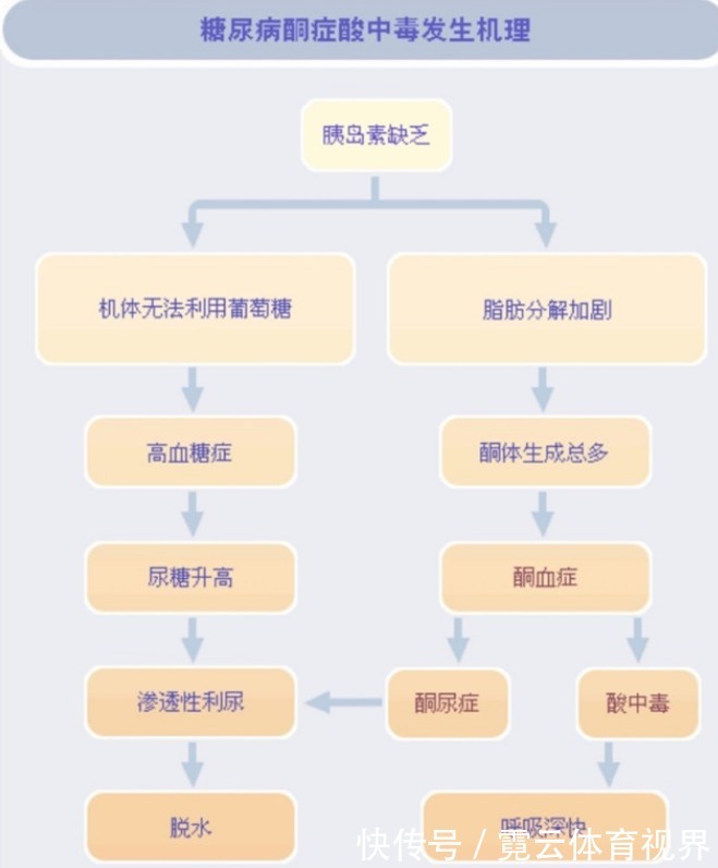 血糖升高|上厕所后，出现3种情况，说明你的血糖高了！糖尿病患者要注意