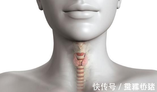 肺结节|3种结节一定要及时切除,大夫说3个部位最好每年都体检1次!