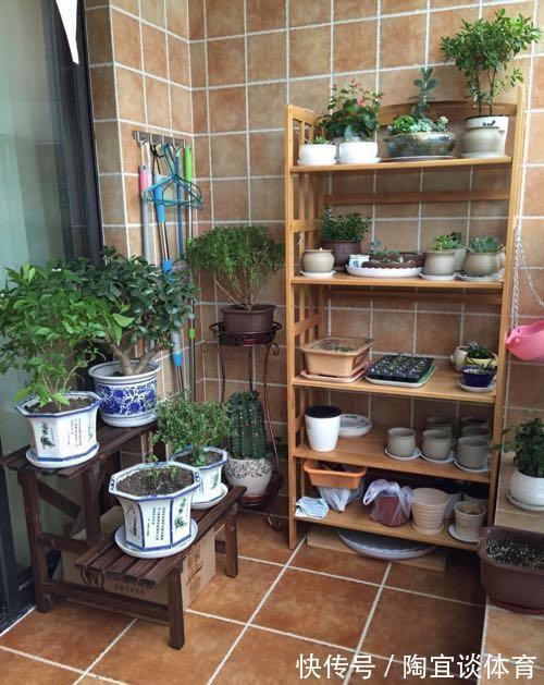 墙壁式|媳妇装新房,卫生间砌“半墙”,阳台成“绿森林”,被邻居赞爆了