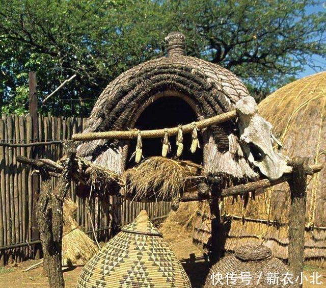 军事国家|非洲历史—19世纪祖鲁族的强盛和内控!