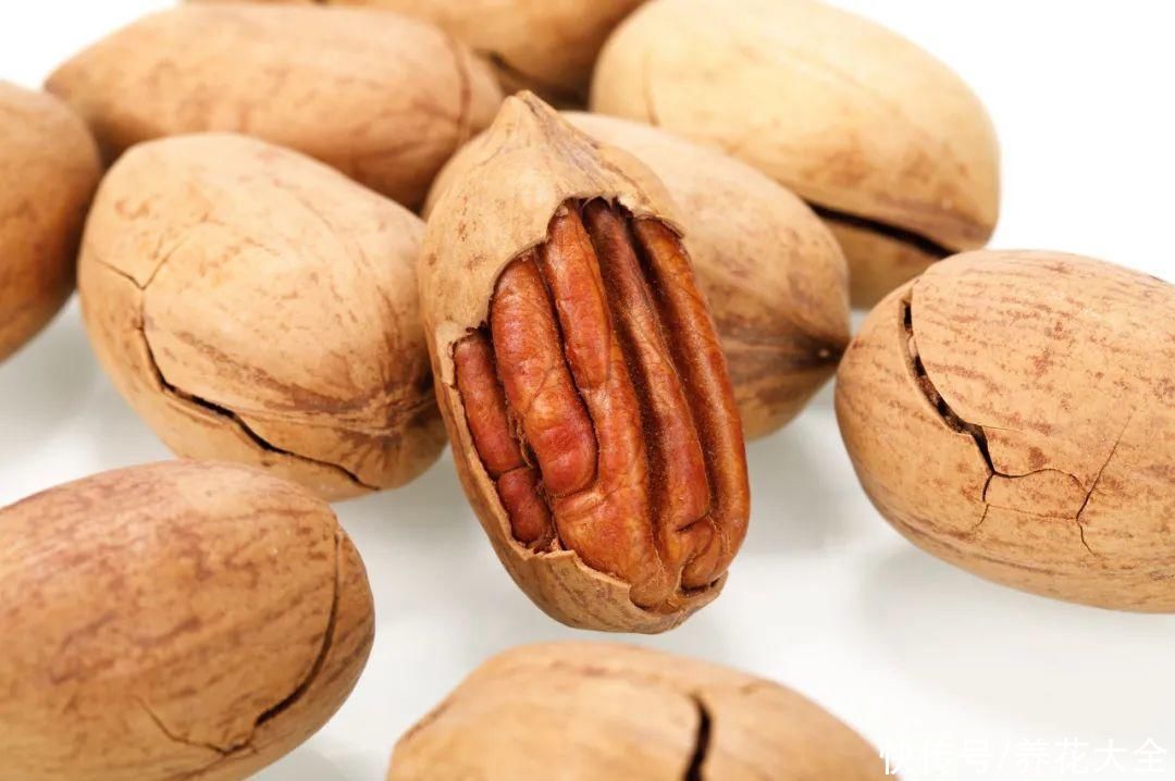 花生瓜子壳···配成营养土，给花养出“面条”根