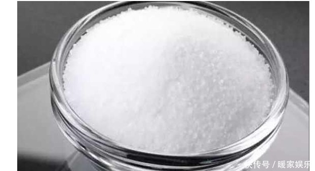 白糖才是最好的“花肥”,再也不用买高价肥了,养啥啥爆盆!