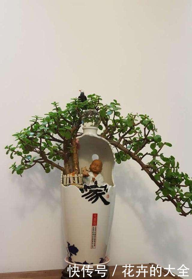 自制|在家用这4种东西自制花盆,简单方便还好看!透气性高养花好