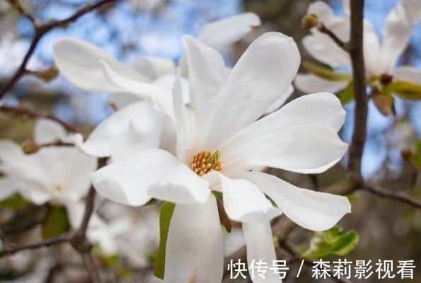 最亲的人#俗语:“人穷不思三人”,指的是哪三个人?可惜明白太晚