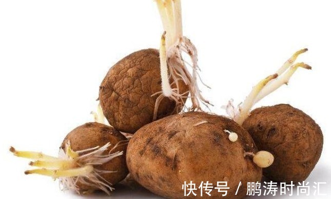 健康|转告父母:3种“食物”就算已经发芽,也可以放心的吃!