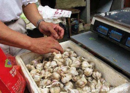 为什么买回家的大蒜容易发芽，而超市里的不会发芽看完就懂了
