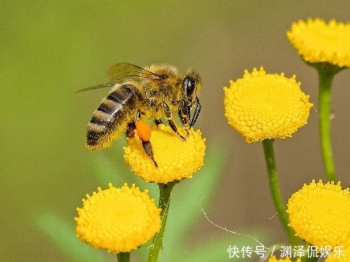 伏明霞|想成长的人，不掌握方法怎么行4个方法，让你的成长不再绕弯路