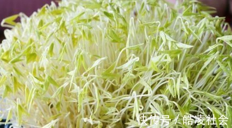 张医师|夏天勤洗澡，但头发越掉越多，菜2块钱一斤，越吃发量越多！