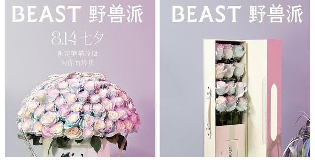 花店|井柏然变身花店老板，演绎熊猫求爱现代童话