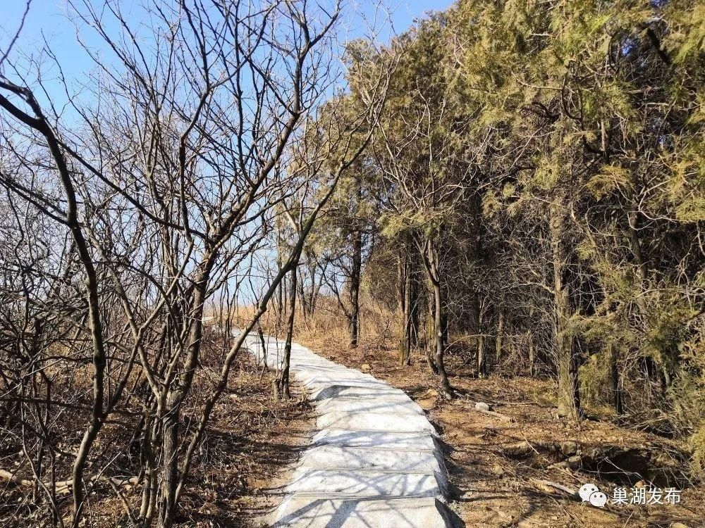 “天梯”串起山间美景！苏湾镇大寨山游客步行道即将开放！