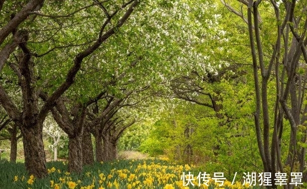 旧情|还有三周，花好月圆，幸福天降，旧情复苏，复合相拥，此生不放手