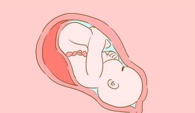 分娩|生孩子疼的主要是哪些部位不是肚子,你可别弄错了