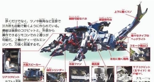 男孩|男孩的终极梦想之一:巨星机械甲虫