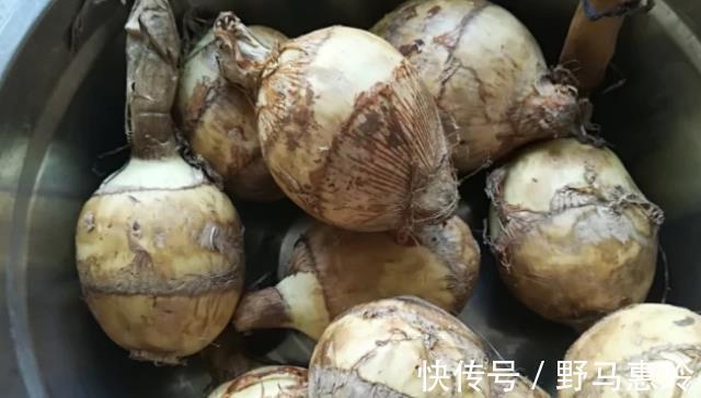 健康|孕妈别吃这4种蔬菜,嘴巴再馋也要忍着,或对胎儿的健康不利