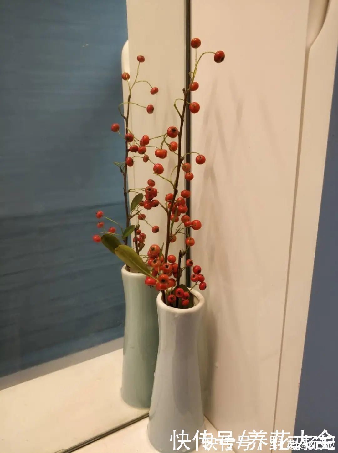 柴烧|农村当柴烧的花,原来可以当盆景,给一千块也不卖