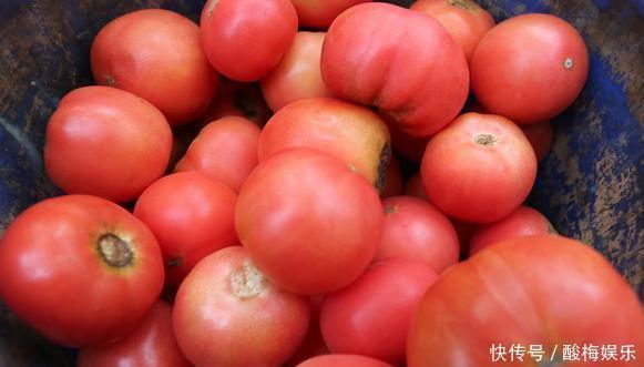 不能在冰箱存放的3种食物,大多数主妇都忽视了看你家放了几样