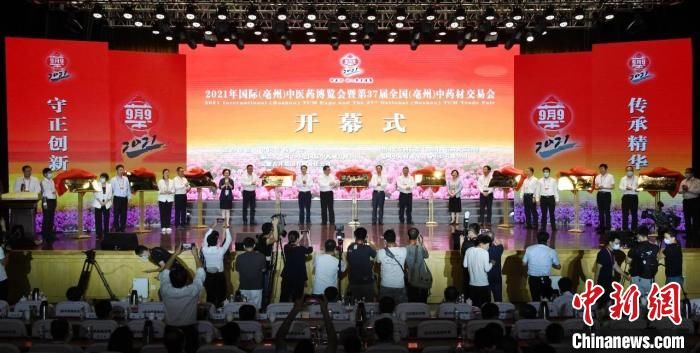 中药材|安徽亳州中医药加速“出海”