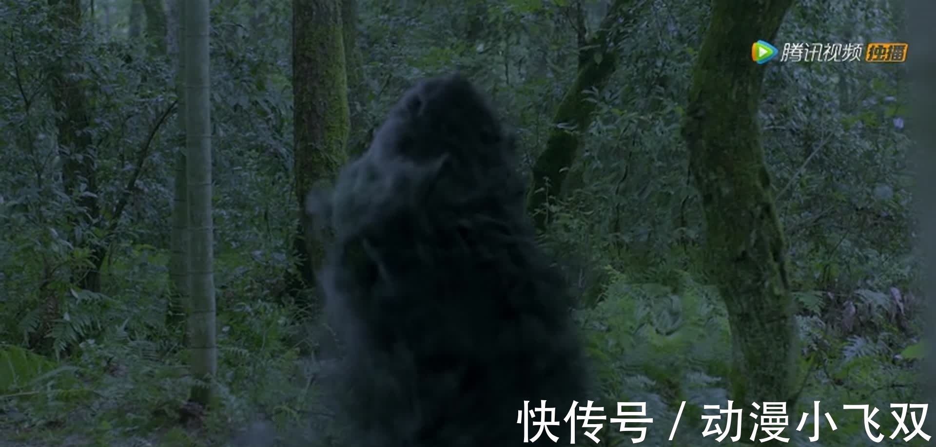 唐昊|斗罗大陆:神秘人叶知秋是谁?神秘组织真是唐三父亲唐昊组建的?