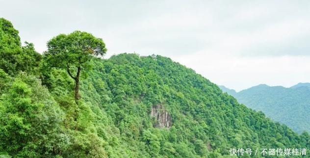 江西|江西赣州这处风景区，不仅广东的自驾游客多，香港同胞更爱这地！