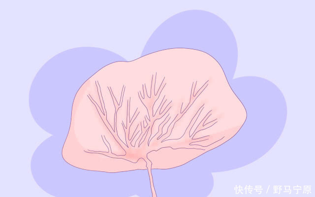 胚胎|怀孕时这周最危险，容易发生畸形和胎停，孕妈要小心度过