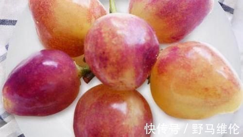 食物|女性不想满脸皱纹，可以坚持吃3种食物，美容养颜、增强体质！