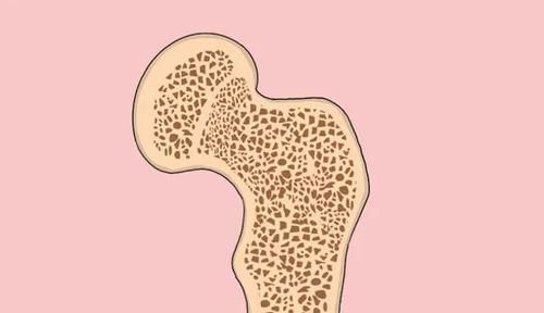 骨头|人老后,为什么驼背、长白发、有老人斑?原因清楚了