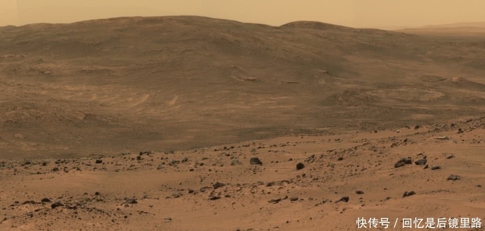 动物群 火星上发现大堆“动物群”?离近一看,原来是它!