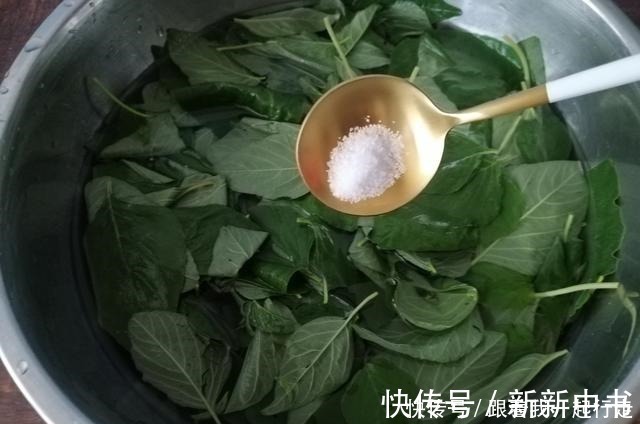 钙库|藏在田间地头的“天然钙库”，不花一分钱，钙是菠菜的3倍