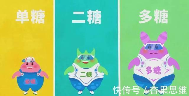 单糖|碳水化合物对你的身体有什么影响?