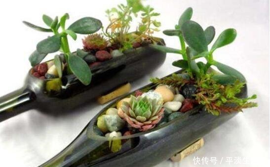 这些破烂不要扔，做成“小花盆”，个性又漂亮，比买的强“百倍”！